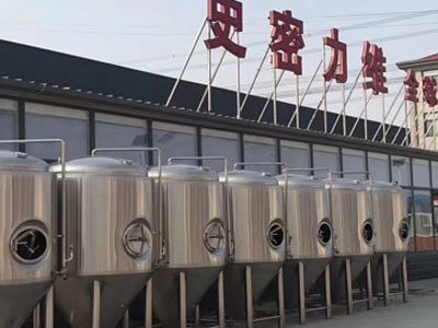 定远精酿啤酒设备厂—如何判断精酿啤酒设备的密封件需要更换？